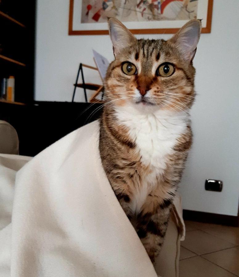 Un Buon Inizio Bed & Breakfast *